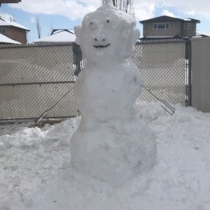 Meet your Posher, Davin